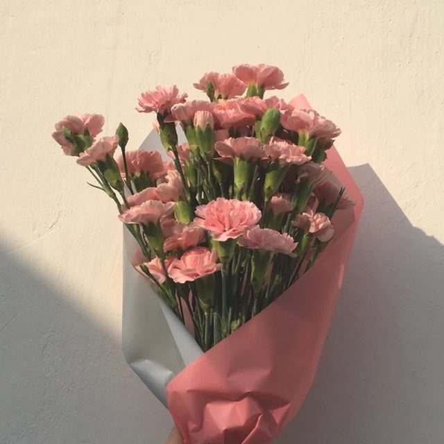 쁘니