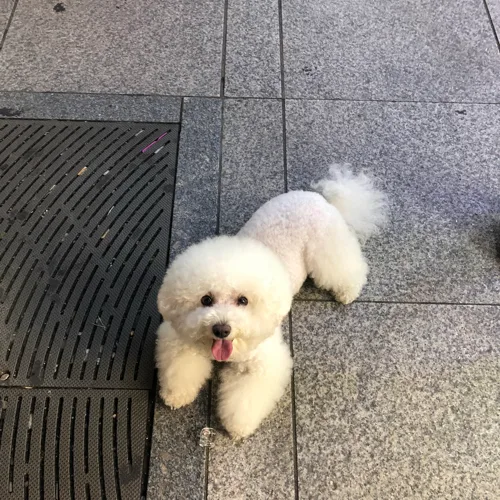 동그리