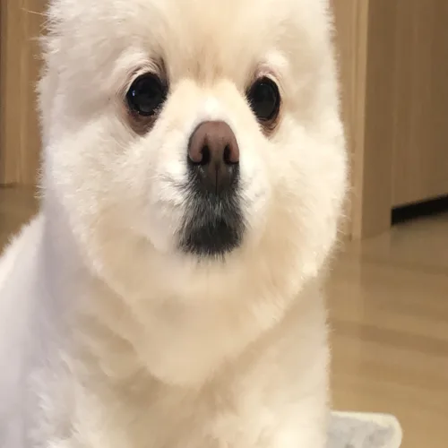 profile
