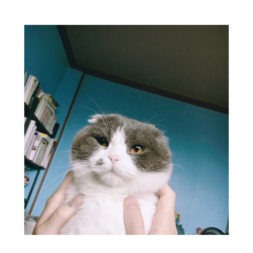 후추