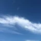 오리궁댕이