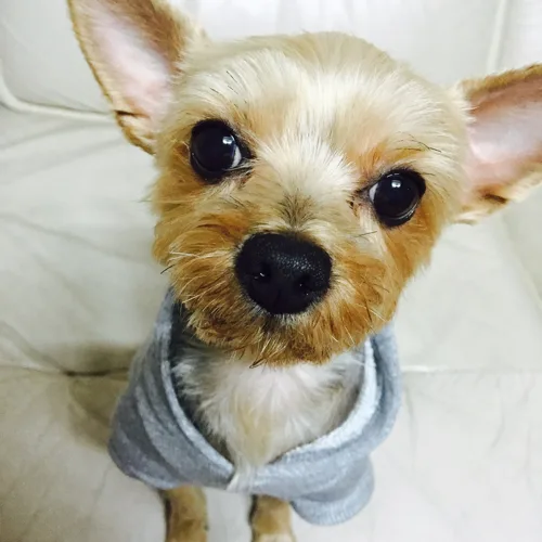 으닝