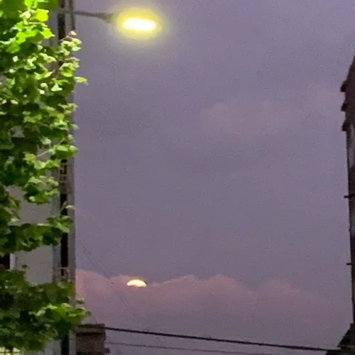 멍렁이