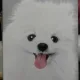 루디아공방