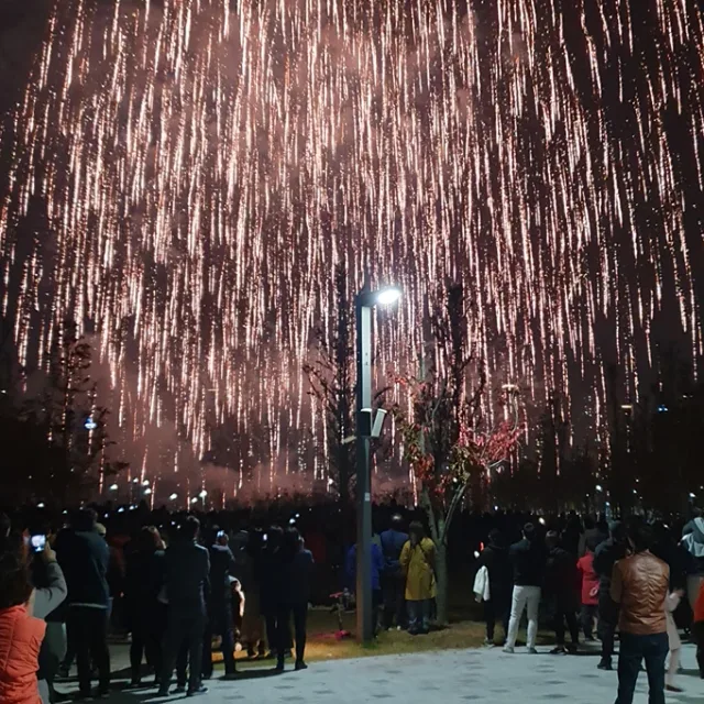 배곧의민족