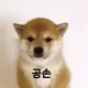 박이
