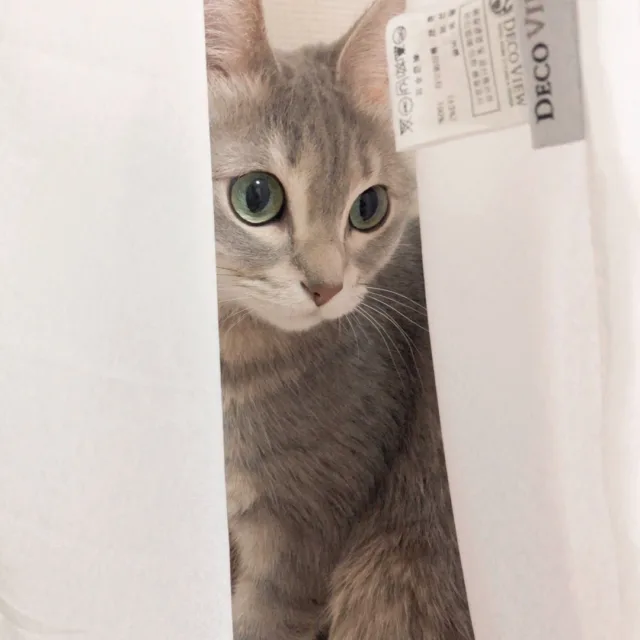 은호맘