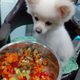 찰리브라운
