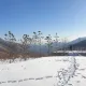 밀크티