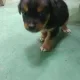 예랑아빠