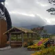 산드라