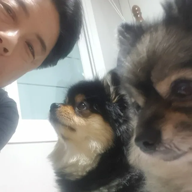 쭌황금햇살