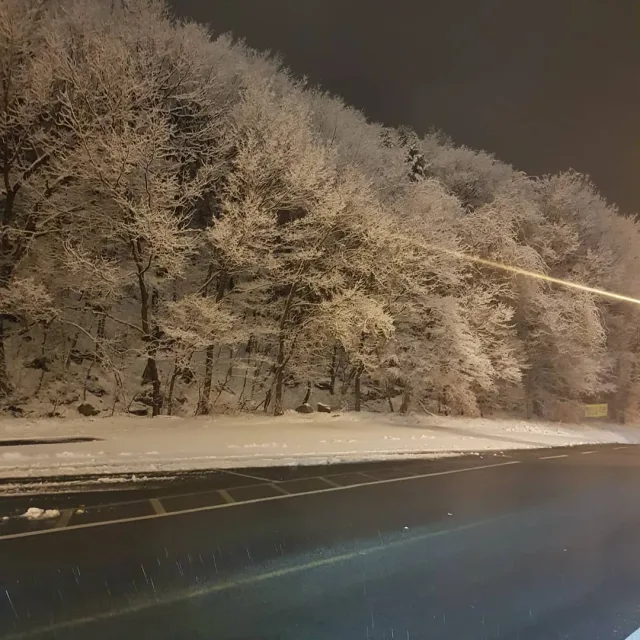 풍부한감성