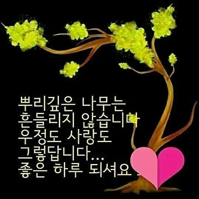노래사랑