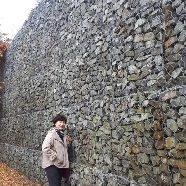 방글이