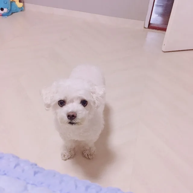 여니
