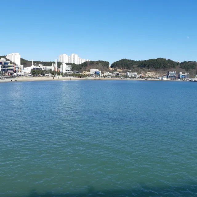 유령회원