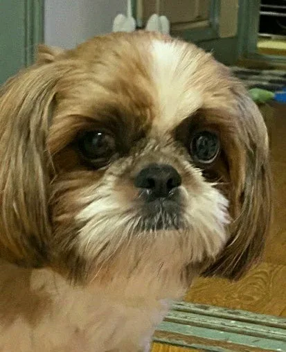 뚜기링
