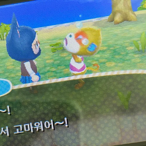 당근지