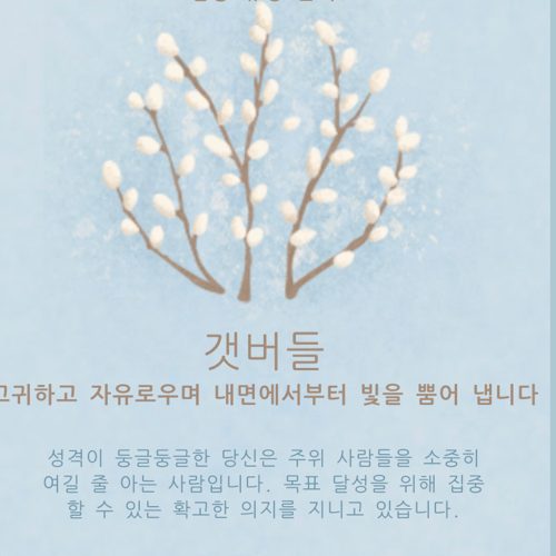 갯버들