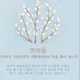 갯버들