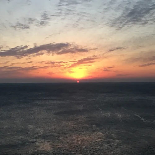 오동통너구리
