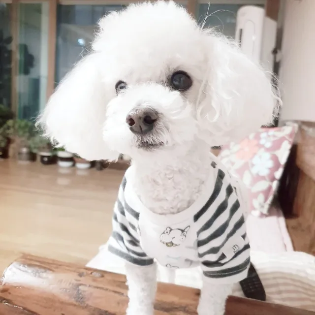 눈누난나