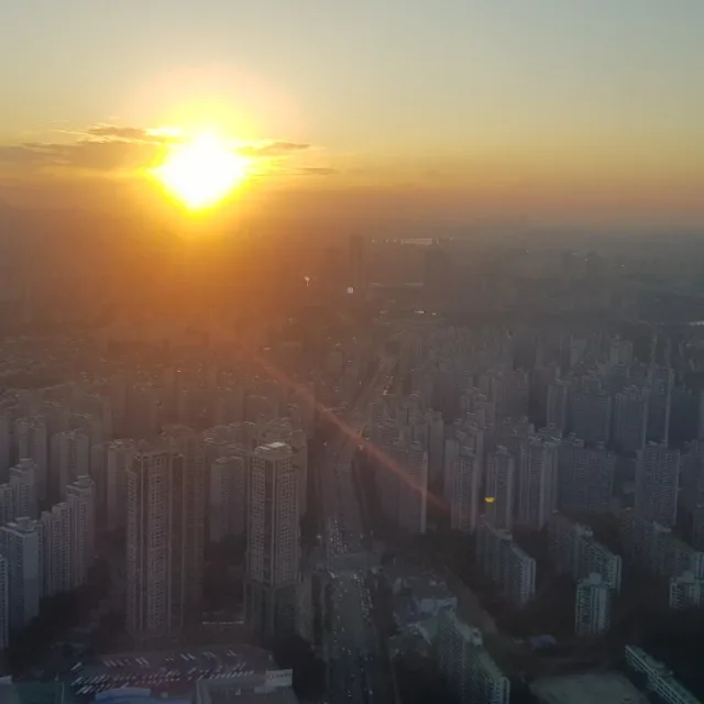 골진아빠