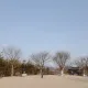 민트블랙