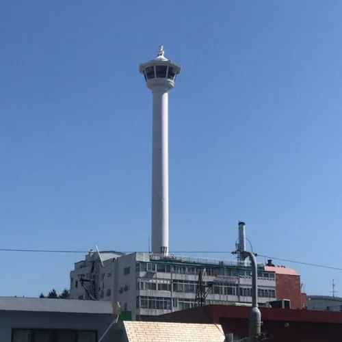 복사꽃