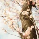 기리리리린