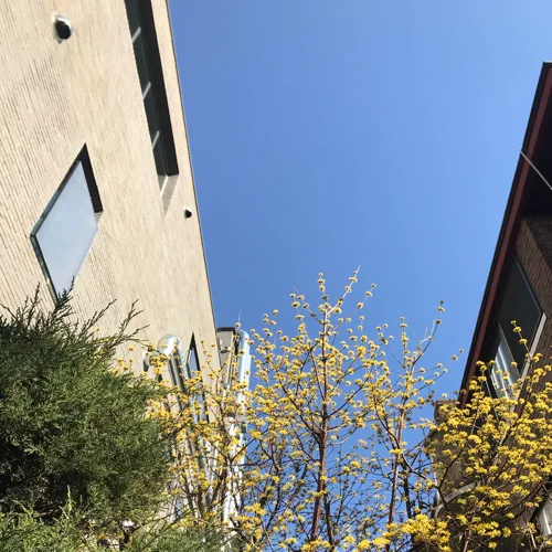 포도한송이