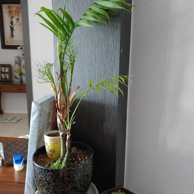 바람소리