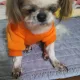 몽실