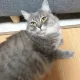 재하은서