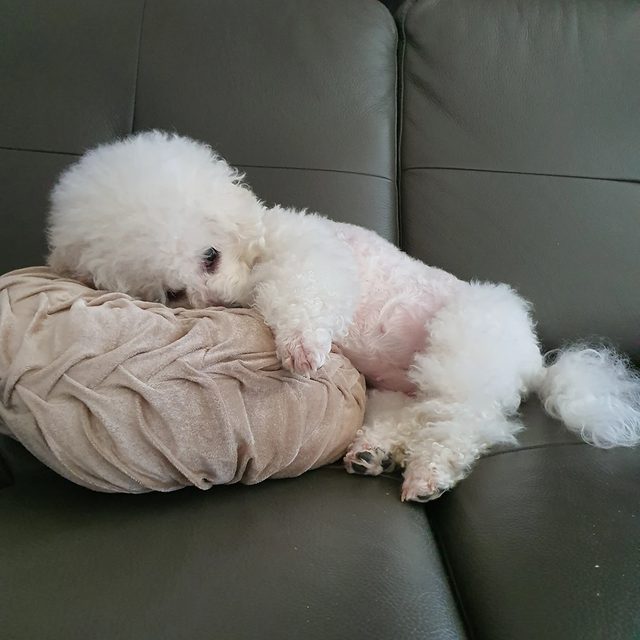 리뷰 프로필 이미지