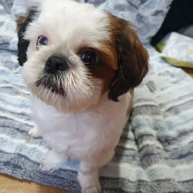 커비