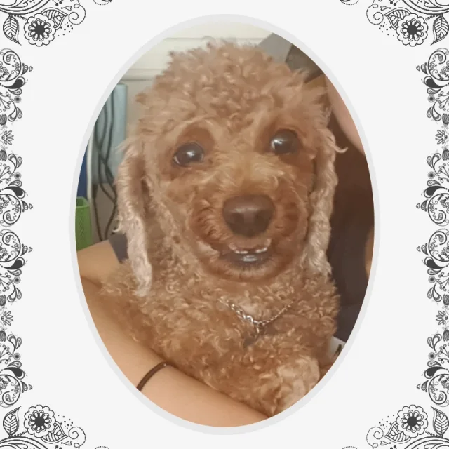 오누이맘