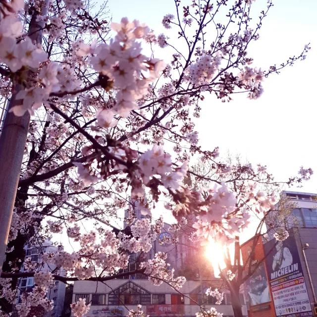 그럼난토끼