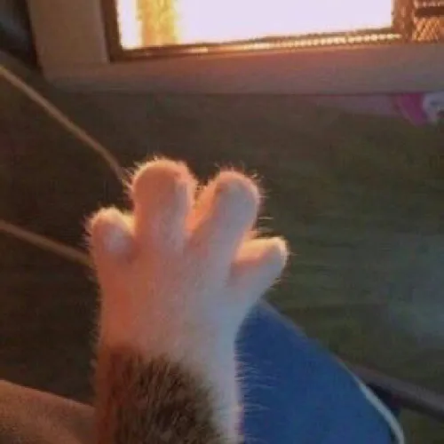 훔냐