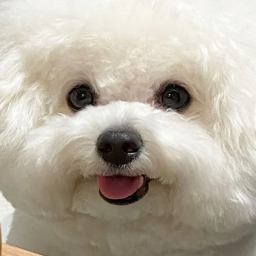 미농