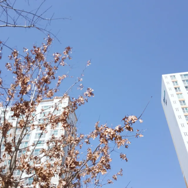러블리태자매