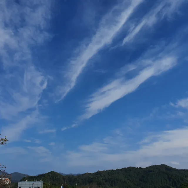 구간반복