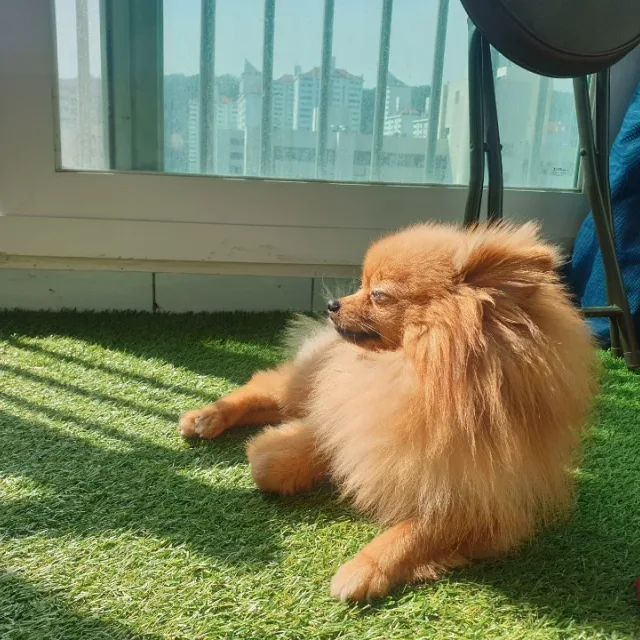 때굴