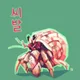 자일리톨