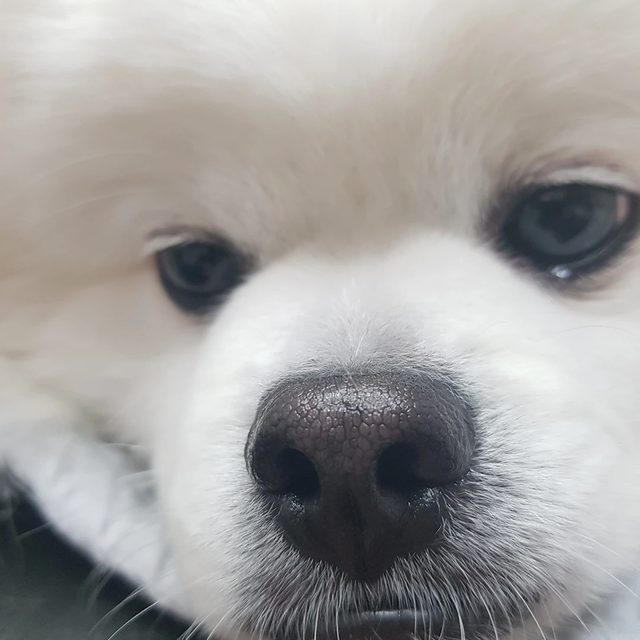 일산아빠