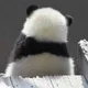 아인