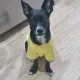 달이맘