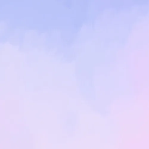 보라