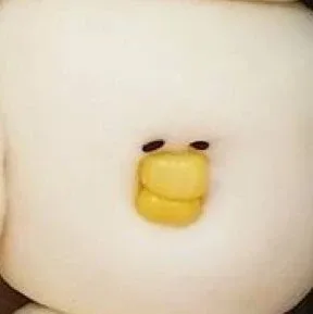 곰곰